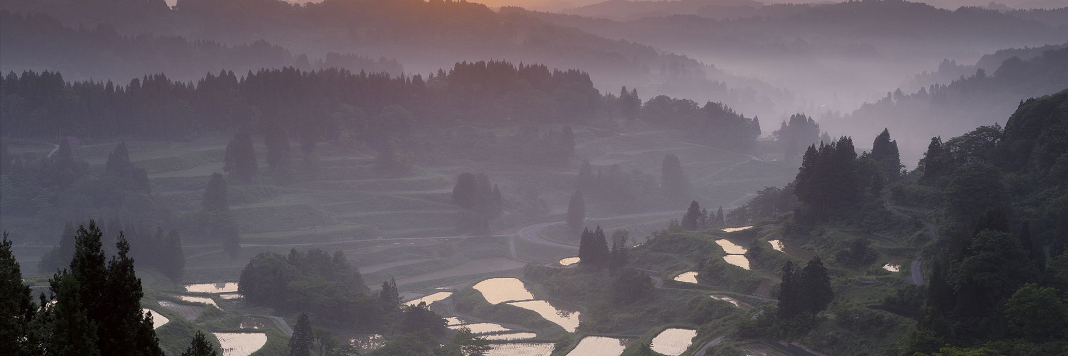 Hoshitouge Terraced Rice Field