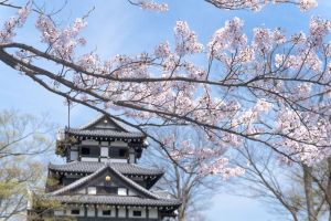 高田城址公園