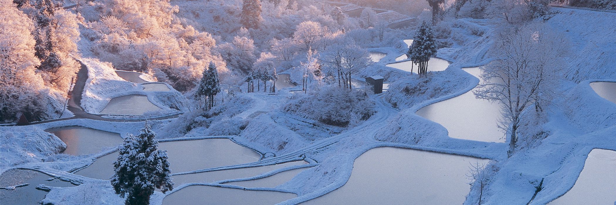 星峠之梯田_冬