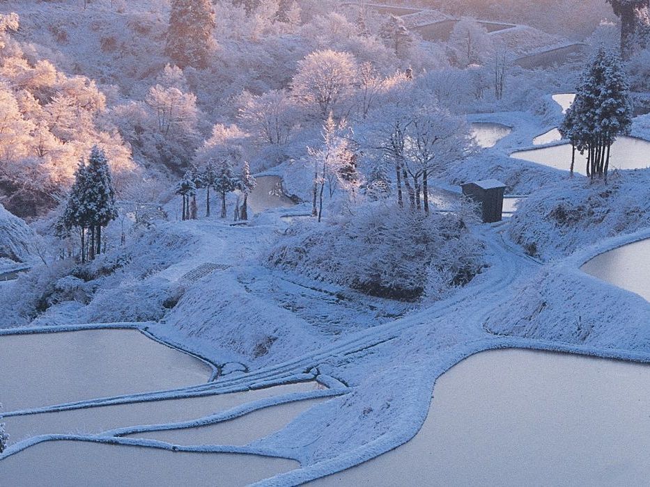 星峠之梯田_冬