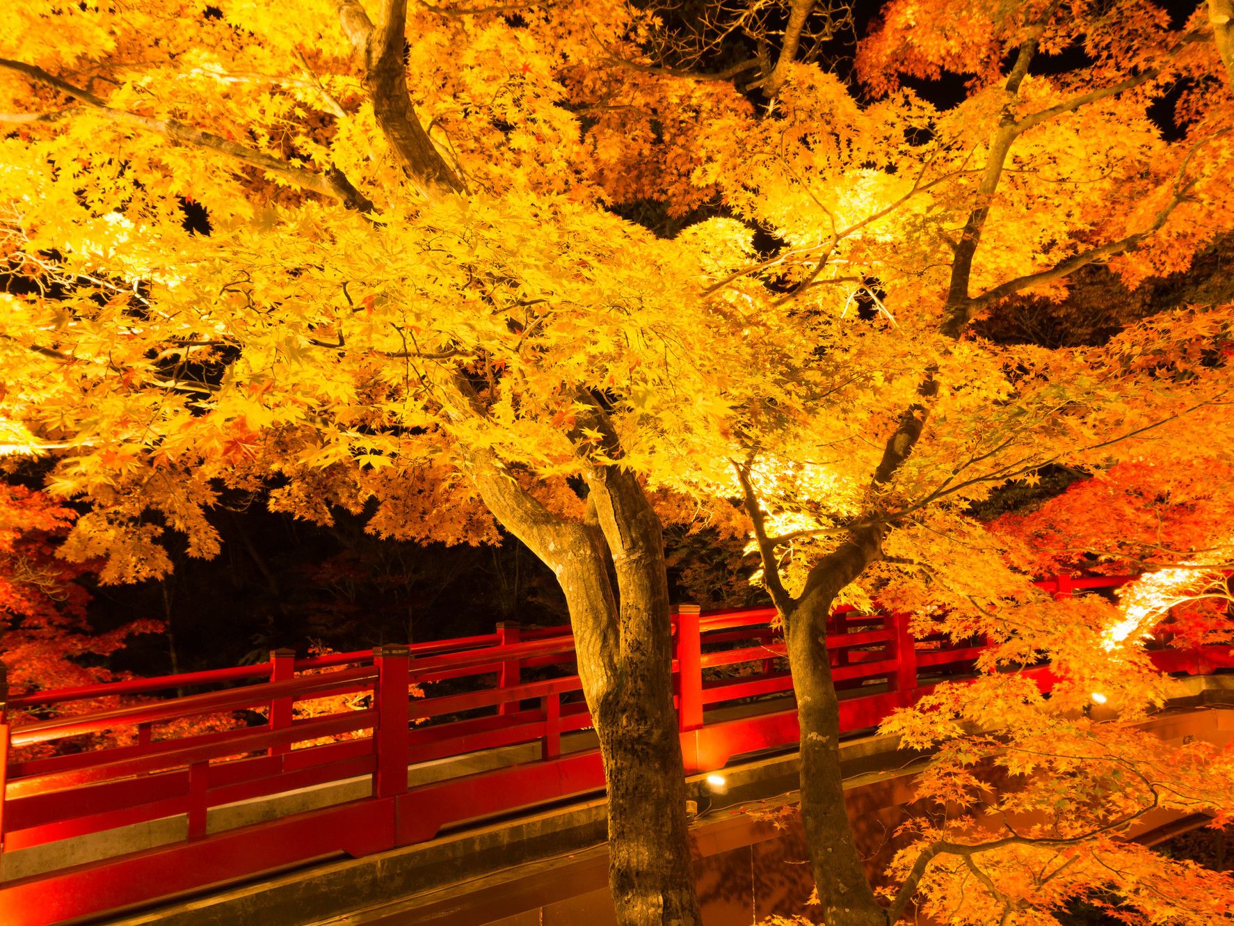 Yahiko Park