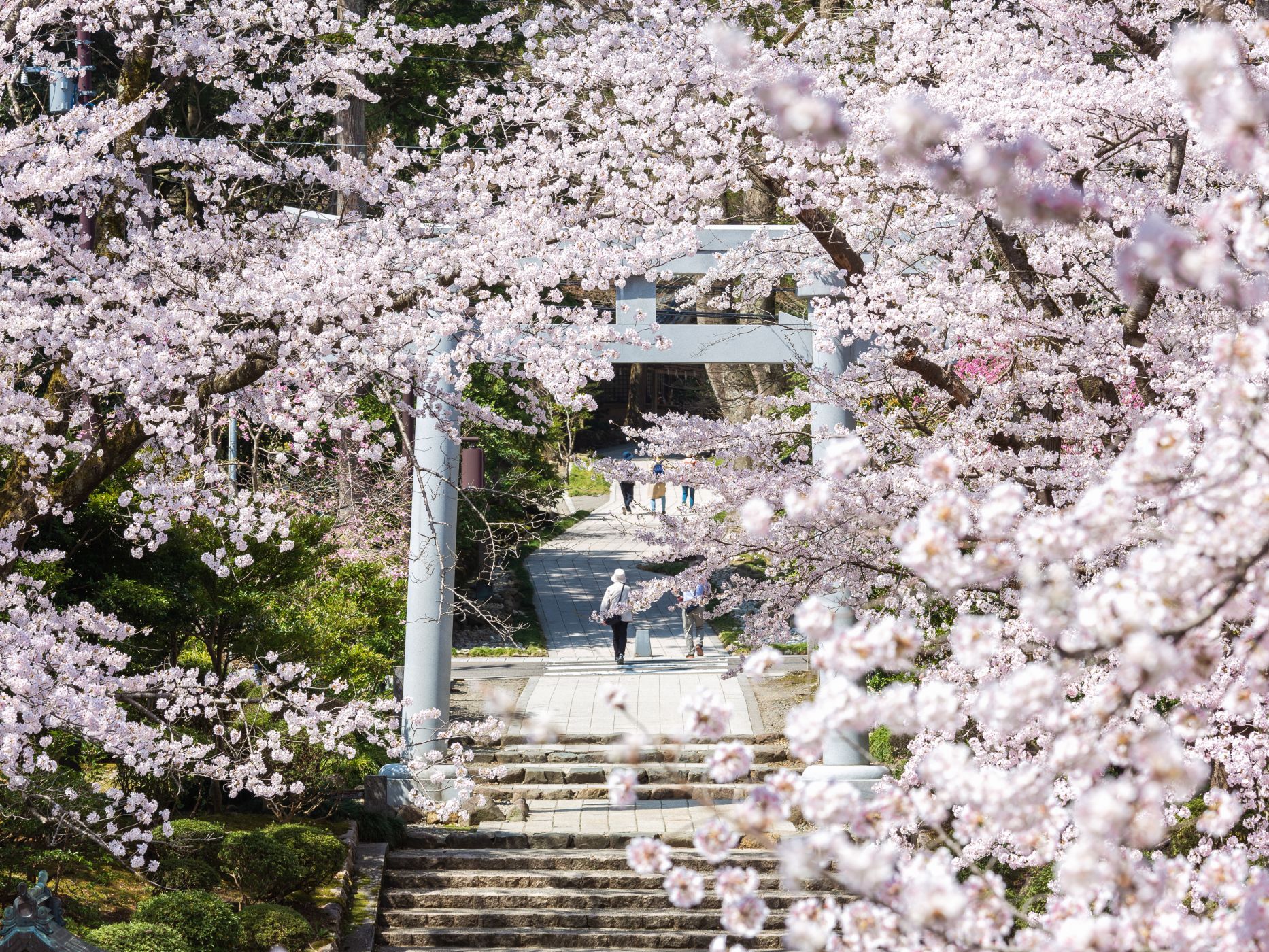 Yahiko Park