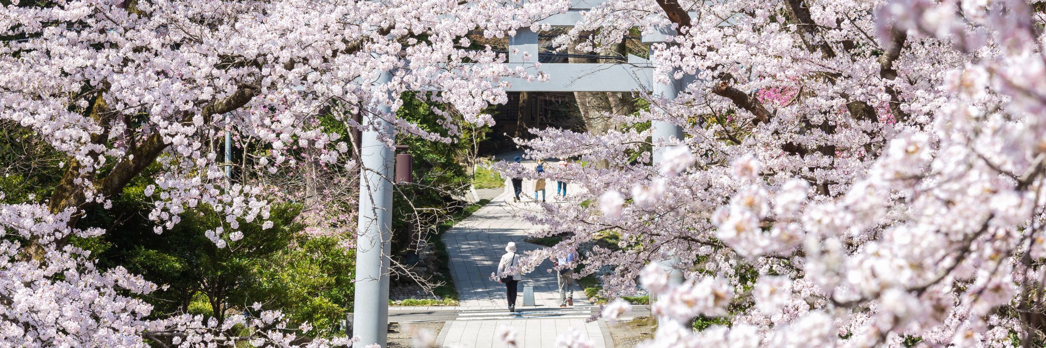 Yahiko Park