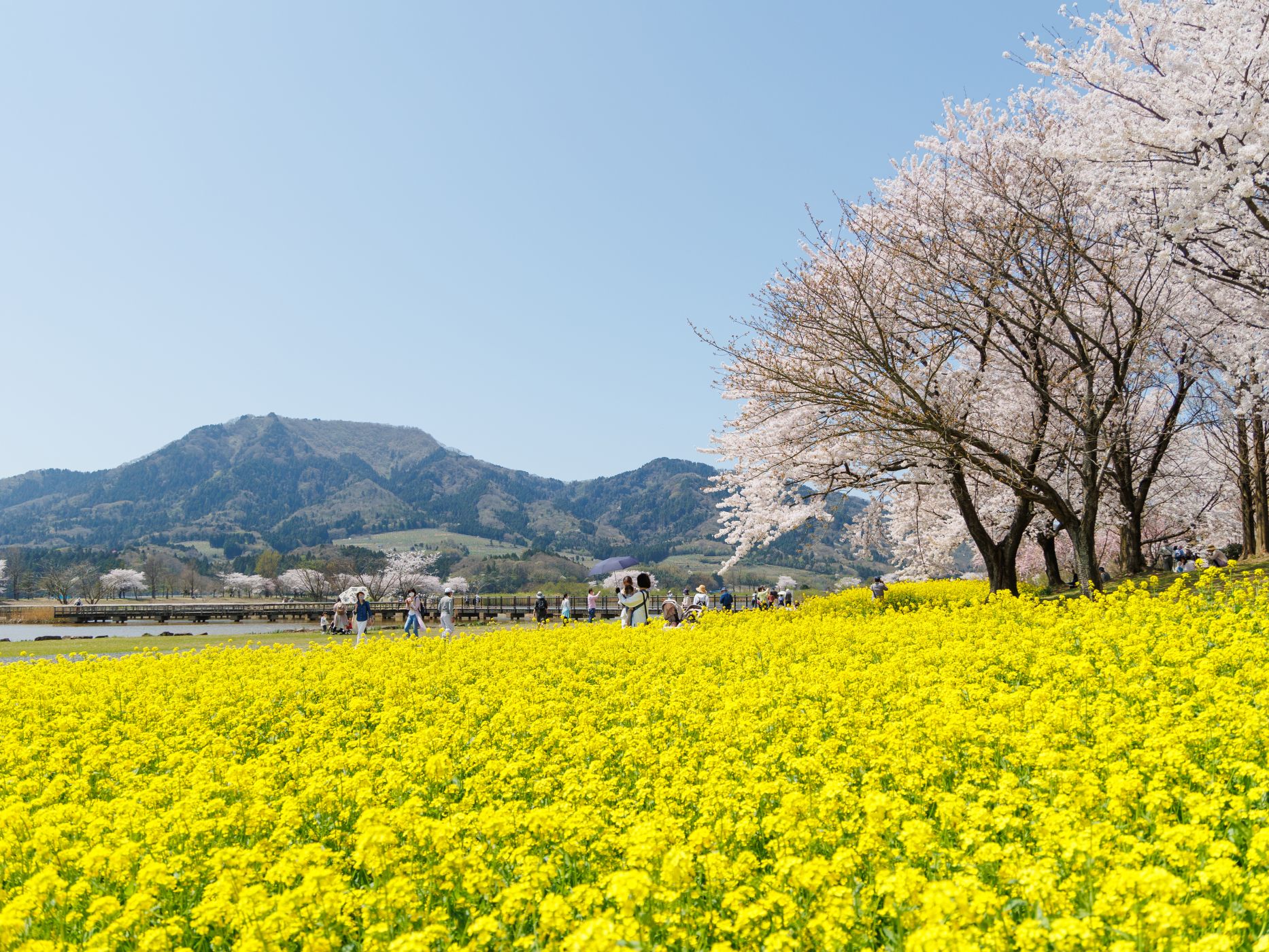 上堰潟公園