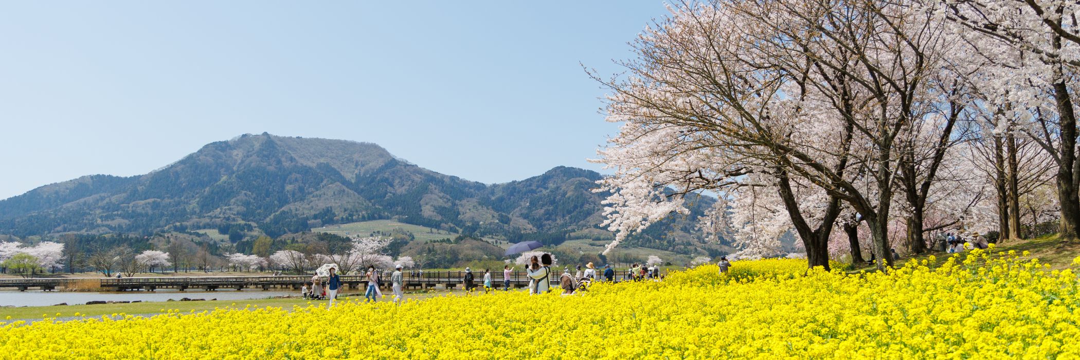 上堰潟公園