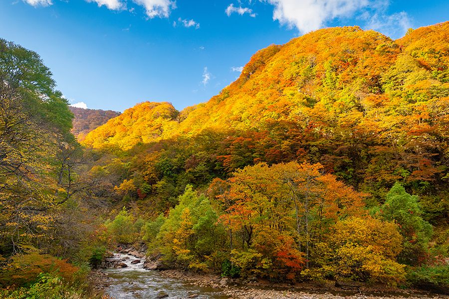 JOETSU AREA～Autmn in Myoko(By Chuta Kooanantkul)～