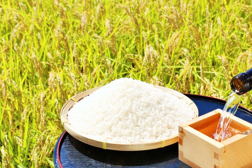 Discover Niigata Prefecture’s Authentic Sake Culture Nurtured by the Snow