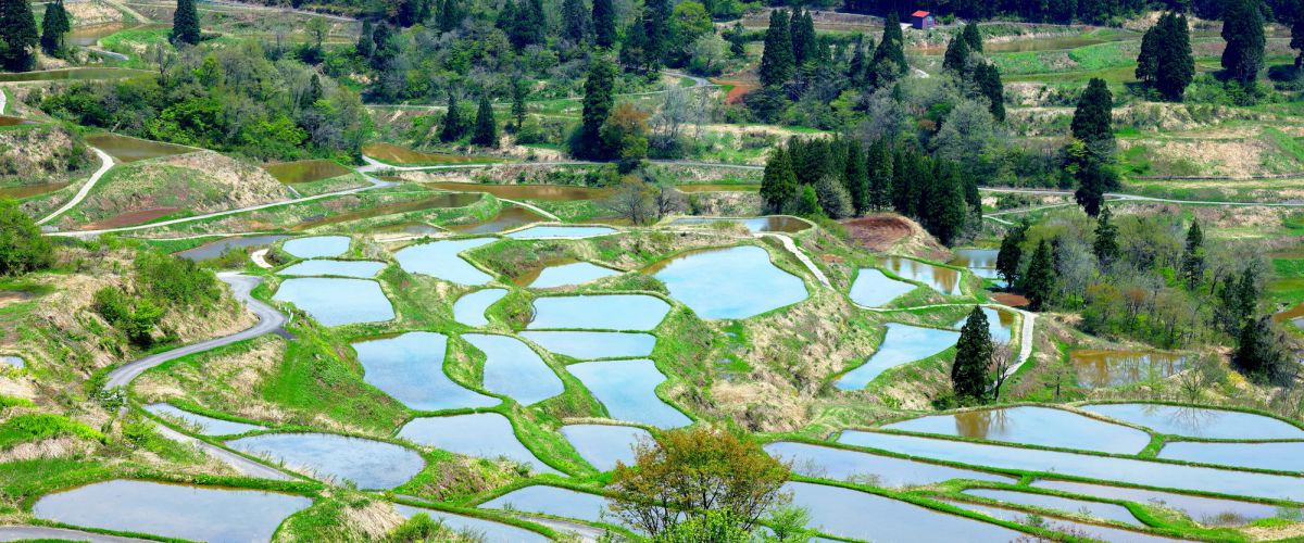 在新潟县的旅馆尽情享受个性化的居住体验 特集 Enjoy 新潟